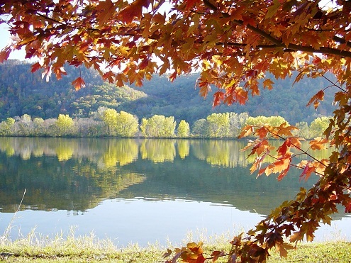 autumn leaves at lake