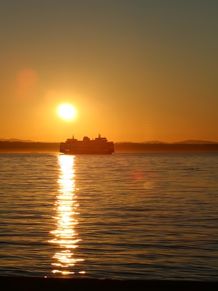 sun setting in a yellow sky