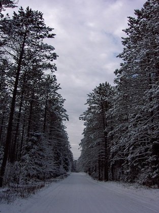 snow on a country road