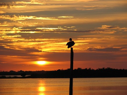 orange and gold sunrise