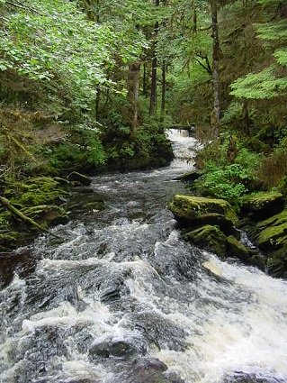 white water lake