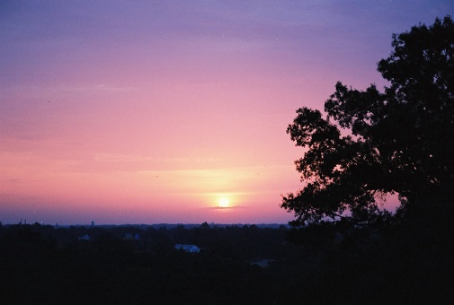 pink and purple sunrise