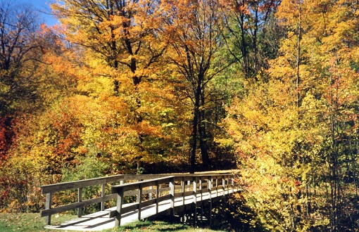 walking bridge