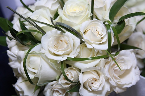 white roses