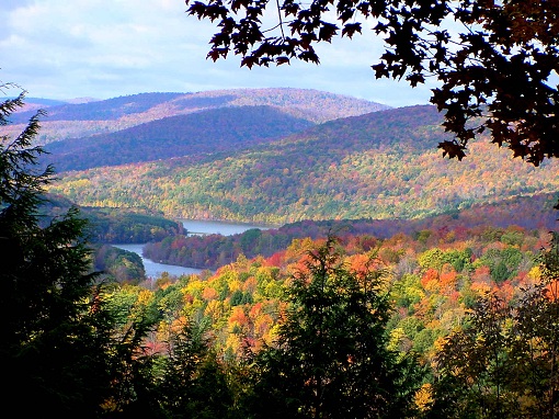 fall mountain colors