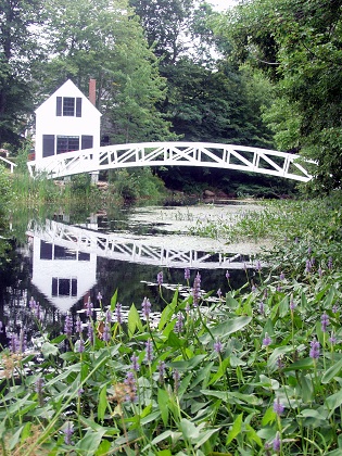 white curved bridge