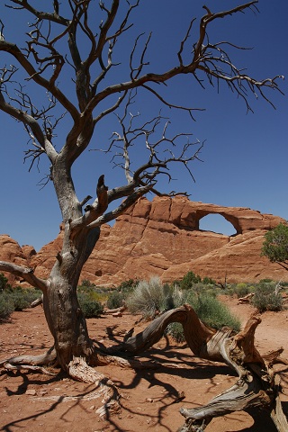 rock formations