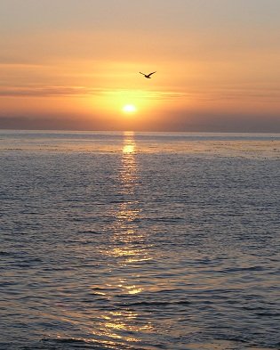 peach and purple sky over ocean