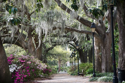 Georgia park path