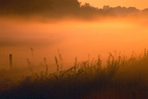 peach sunrise