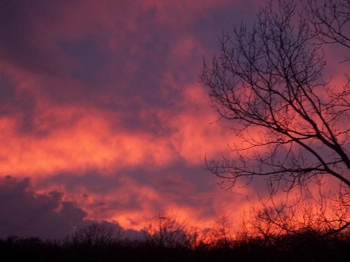 pink and purple sky