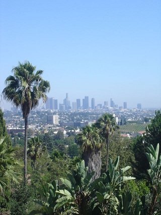 LA city view