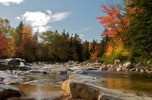 autumn leaves by water