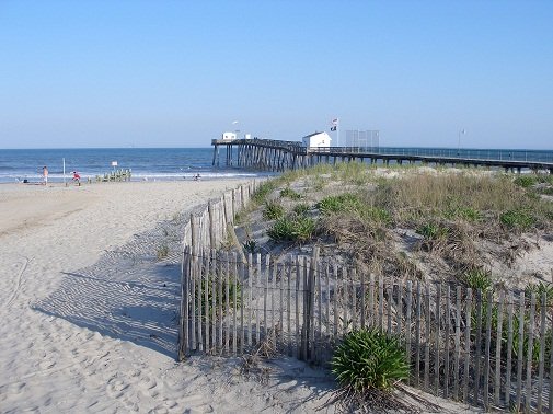 white sand beach and ocean