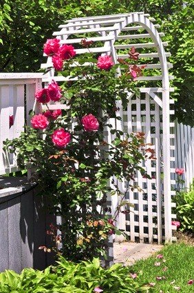 wedding pergola