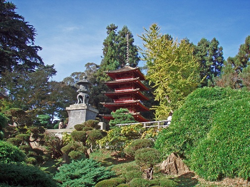 Japanese tea garden