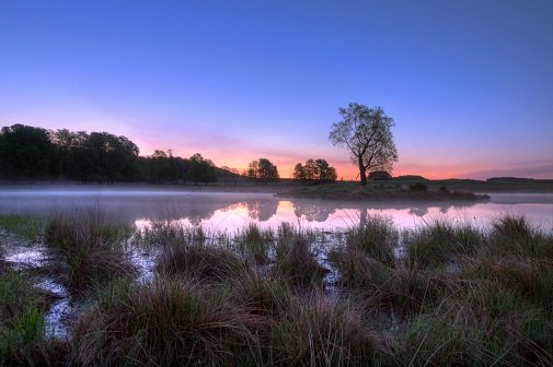 pink and blue sky sunrise