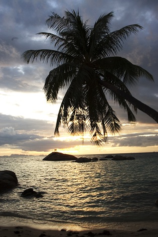 sunset over water