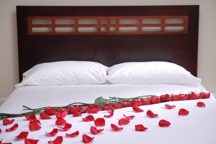 rose petals on bed