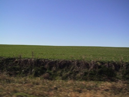 open meadow and blue sky